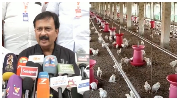Chicken sales halted in Tamil Nadu from July 31 60 000 shops closed