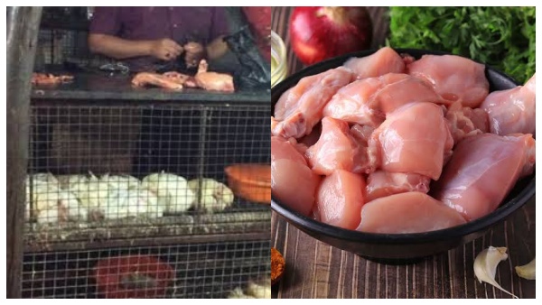 Chicken prices rise in Coimbatore Do you know the price per kilogram at the shop