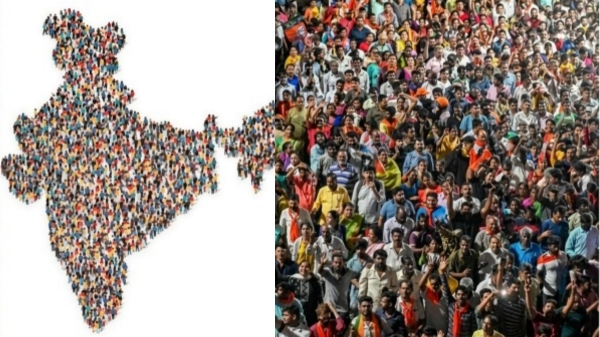 Census Self Enumeration Census Self Enumeration