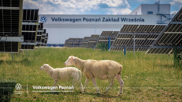 car AI solar car AI solar