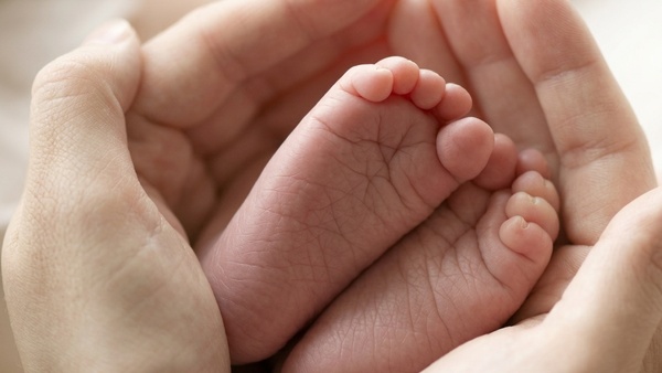 Maternity Leave Rules Telangana High Court law Maternity Leave Rules Telangana High Court law