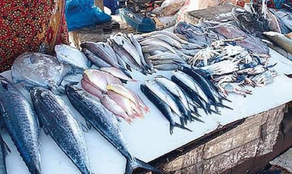 Tiruppur Fish Market Prices Drop Tiruppur Fish Market Prices Drop
