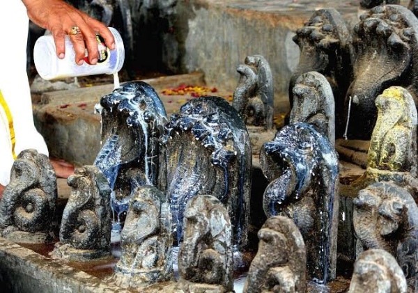 Naga Panchami