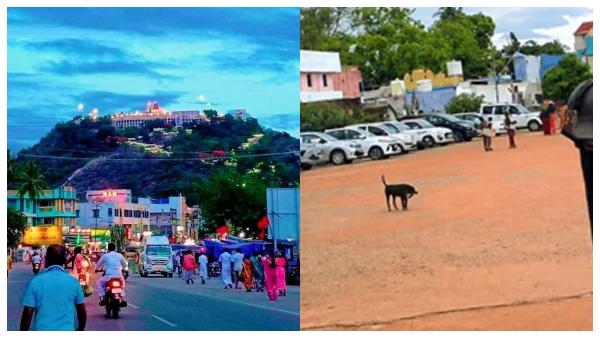 Registration of Palani temple s 100-crore property assets to be cancelled officials face imminent trouble