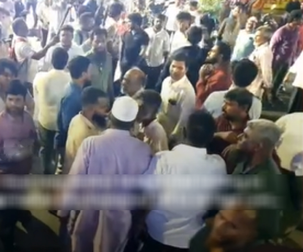Chennai cow Chennai cow