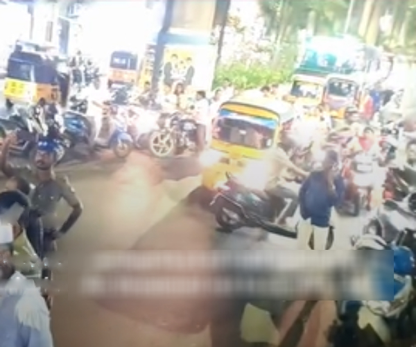 Chennai cow Chennai cow