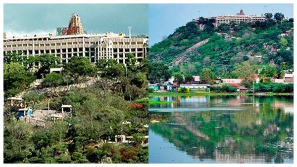 Palani Murugan Temple Land Worth 100 Crore Full Details of FIR Revealed Palani Murugan Temple Land Worth 100 Crore Full Details of FIR Revealed