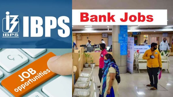 IBPS job 2026 11 403 Clerk Customer Service Associates posts degree holders can apply details here IBPS job 2026 11 403 Clerk Customer Service Associates posts degree holders can apply details here
