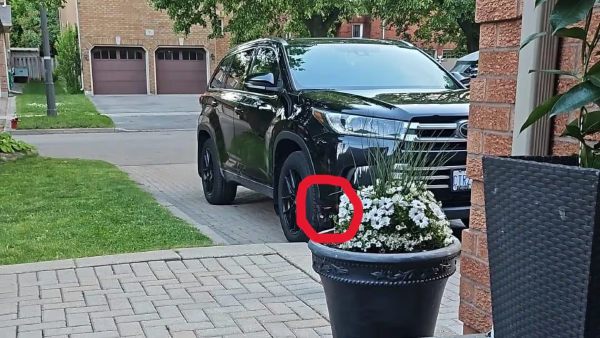 Optical Illusion A challenge for your eyes Find the cat hidden here You have only 15 seconds
