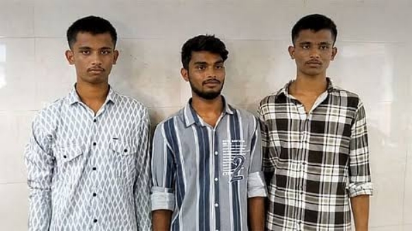 3 brothers get neet