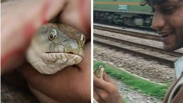 Youth performs dangerous snake stunt for social media