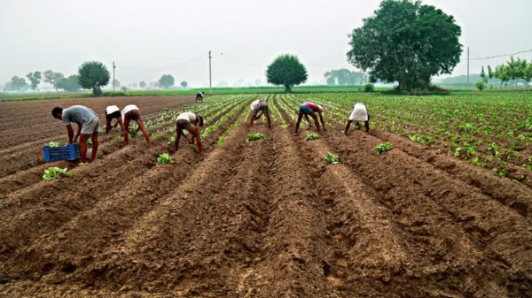 Agriculture Budget 2026