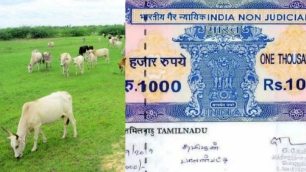 Grazing Land Patta Tamil Nadu Free Patta Revenue Department