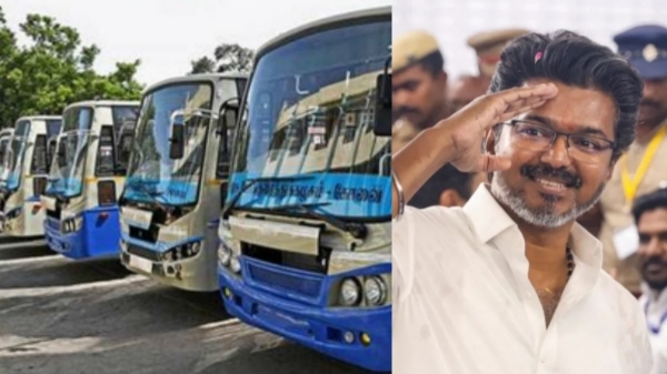 Budget Women Free Bus
