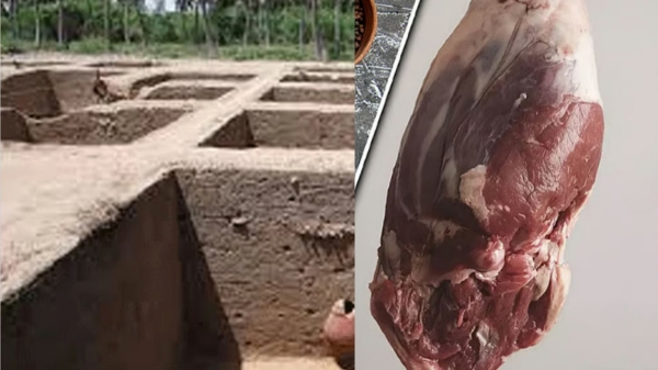 Keeladi DNA Test Keeladi Excavation Ancient Tamil Civilization Tamil Archaeology