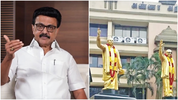 DMK