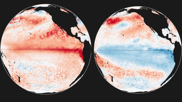 El Nino El Nino