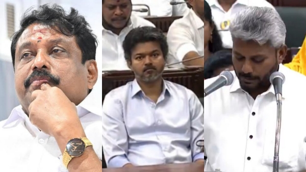 Vijay Vijay