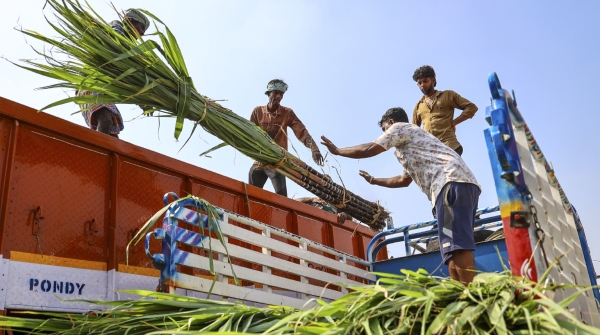 Sugar Price Rise in India Sugar Price India Sugar Price Rise in India Sugar Price India