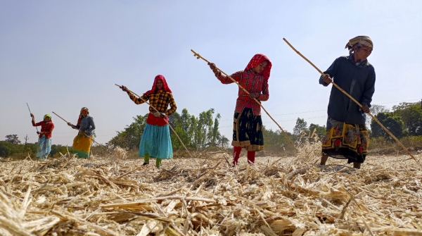 Indial pakistan Sugar Indial pakistan Sugar