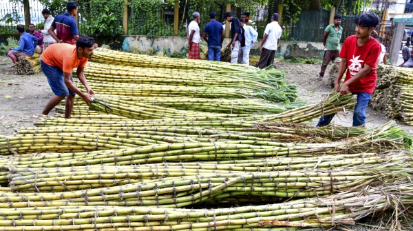 Sugar Prices Rise in India Sugar Sugarcane ethanol