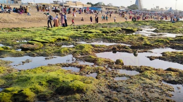 Thiruchendur Sea