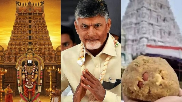 Chandrababu Naidu Tirupati Surprise
