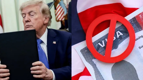 US govt US govt