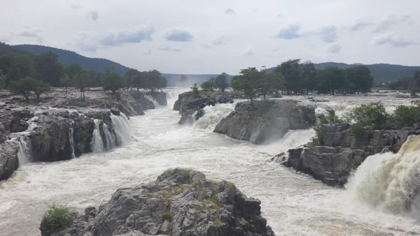 Cauvery catchment areas water inflow at Hogenakkal doubles in a single day farmers relieved Cauvery catchment areas water inflow at Hogenakkal doubles in a single day farmers relieved