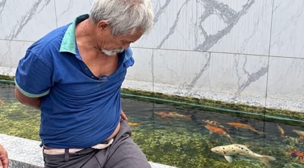 Bangkok Koi Fish Abuse Bangkok Koi Fish Abuse