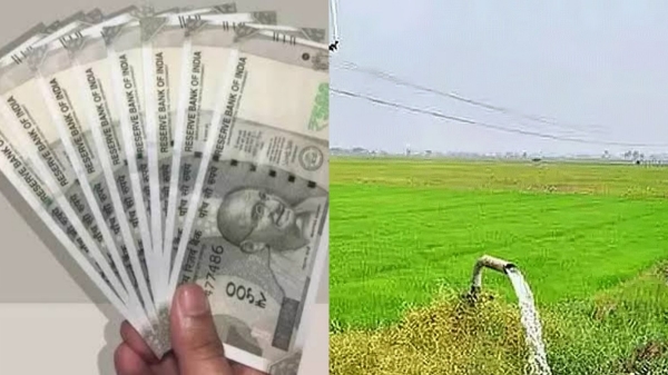 Cooperative Bank Farmers Loan Farmers Loan Scheme Agricultural Loan Scheme