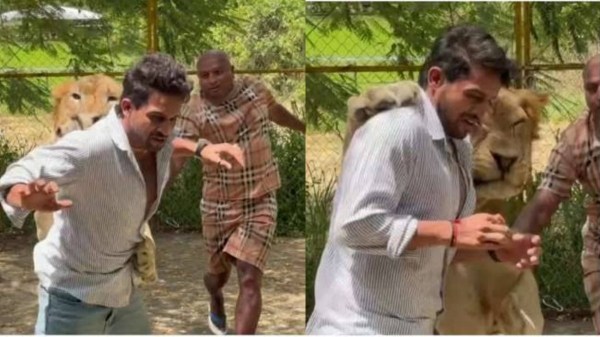 Lion Kiran Raj Viral Lion Kiran Raj Viral
