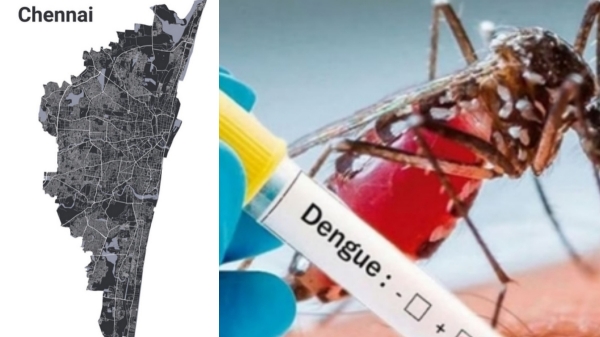 Dengue in Chennai Dengue Cases Major precautions Dengue in Chennai Dengue Cases Major precautions