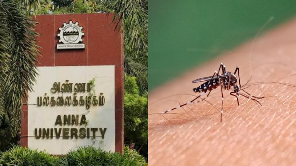 Dengue Fever