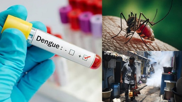 Dengue