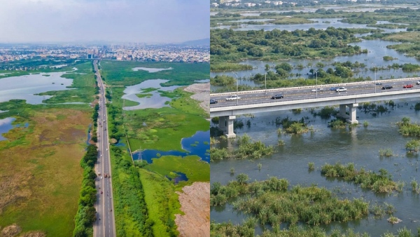 Historic decision for Pallikaranai Flyover instead of road from Chennai One to Kamakshi Hospital