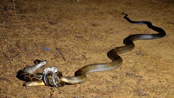 Karnataka Karnataka