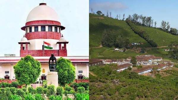 Meghamalai Forest Encroachment Case Meghamalai Forest Encroachment Case