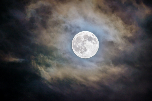 Moon Moon