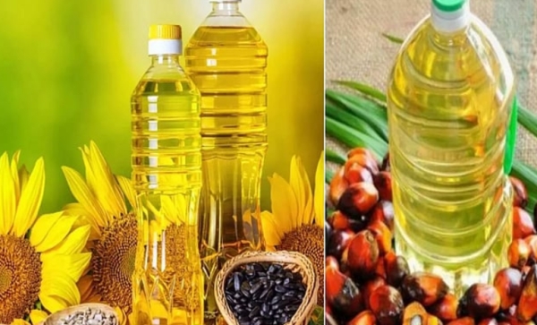 Palm Oil Price