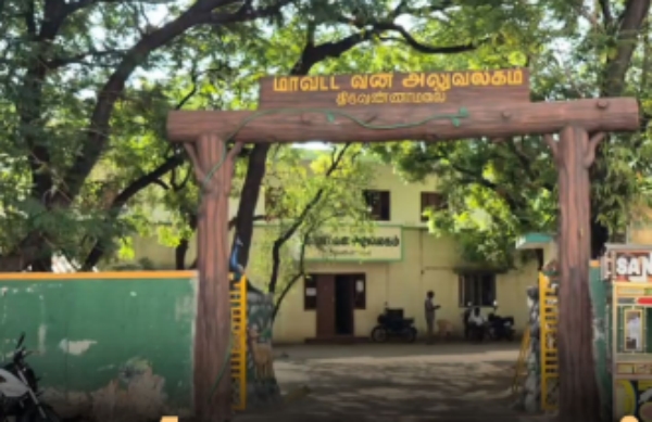 Thiruvannamalai javvadhu hills forest Thiruvannamalai javvadhu hills forest