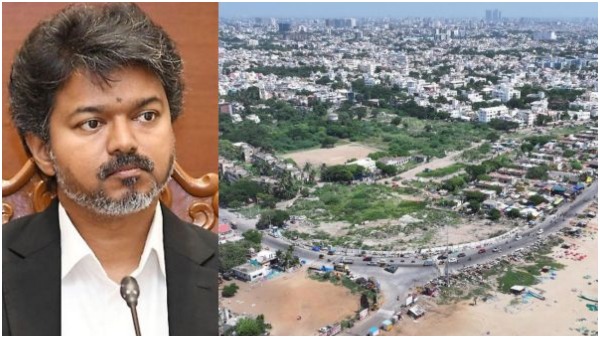 Vijay Vijay