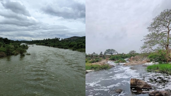 Oxygen levels in water 90 times lower Steps must be taken to save the slowly dying Thenpennai River