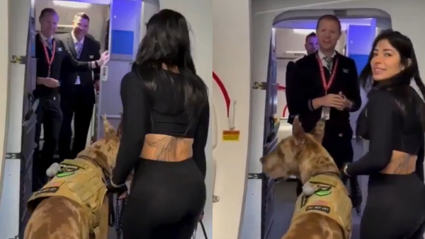 Petra Lucas an influencer who traveled on a plane in the US with her dog after booking 3 seats