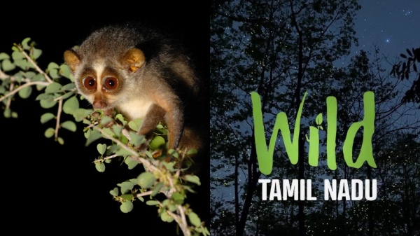 Tamil Nadu wild Tamil Nadu Aravind Swamy Tamil Nadu wild Tamil Nadu Aravind Swamy