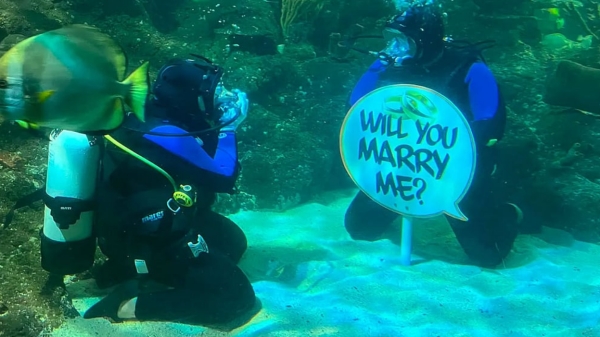 England Underwater Proposal