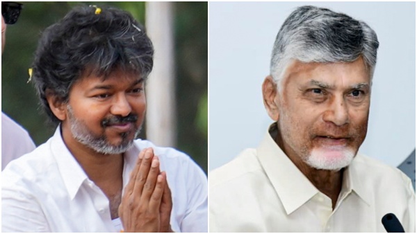 Vijay Vijay