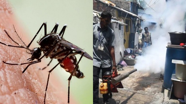 Tamil Nadu Dengue Cases Tamil Nadu Dengue Cases