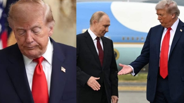 Donald Trump Donald Trump