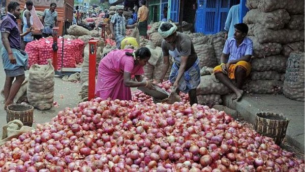 onion onion